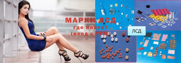 прущие грибы Майский