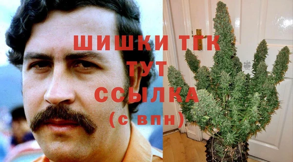 прущие грибы Майский