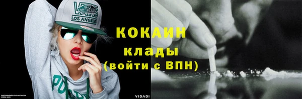 прущие грибы Майский