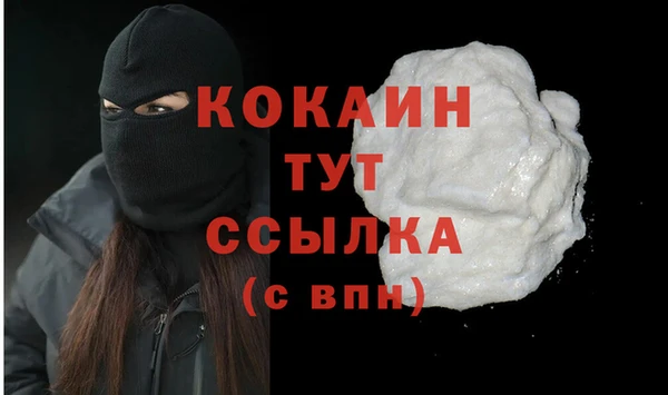 прущие грибы Майский