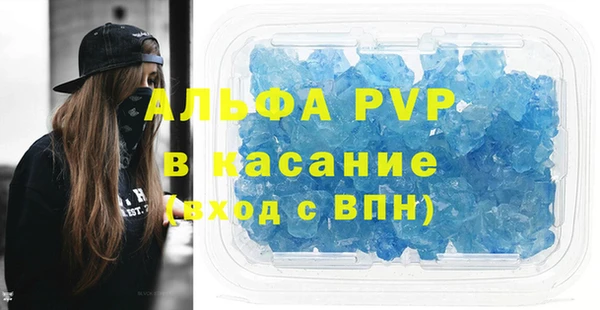 прущие грибы Майский