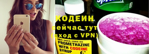 прущие грибы Майский